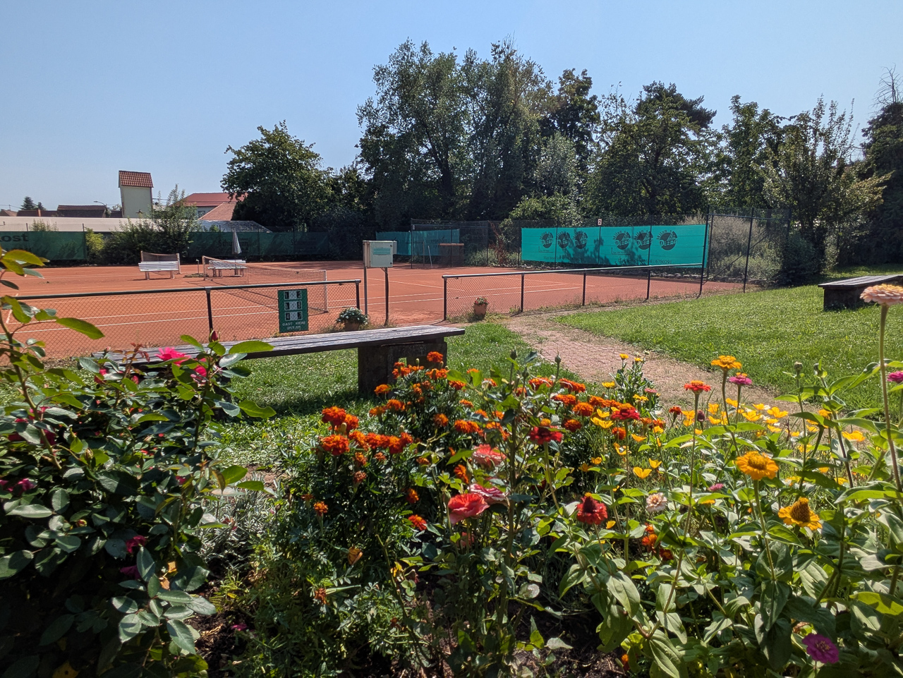 Zwei Tennisplätze des Tennisvereins im Sommer.