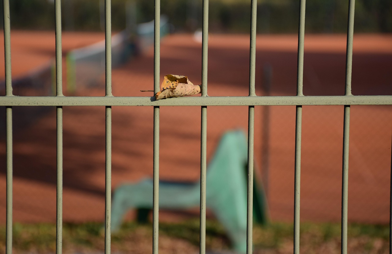 Detailaufnahme Zaun mit Blatt